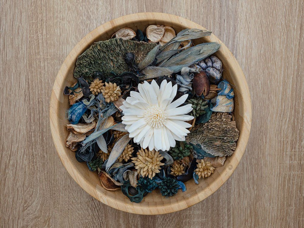5 DIY, easy, and cost-effective sustainable options that improve the air quality in your home.