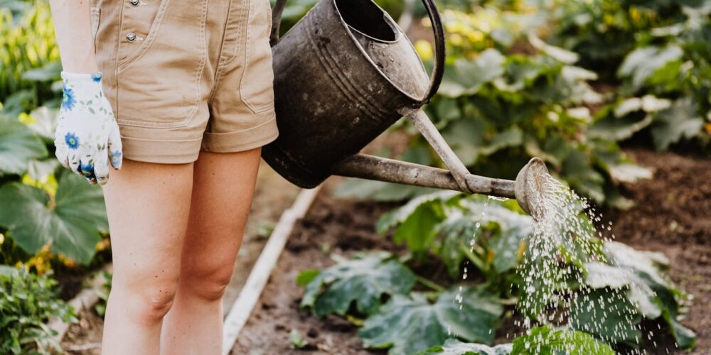 8 Surprising Health Benefits of Gardening