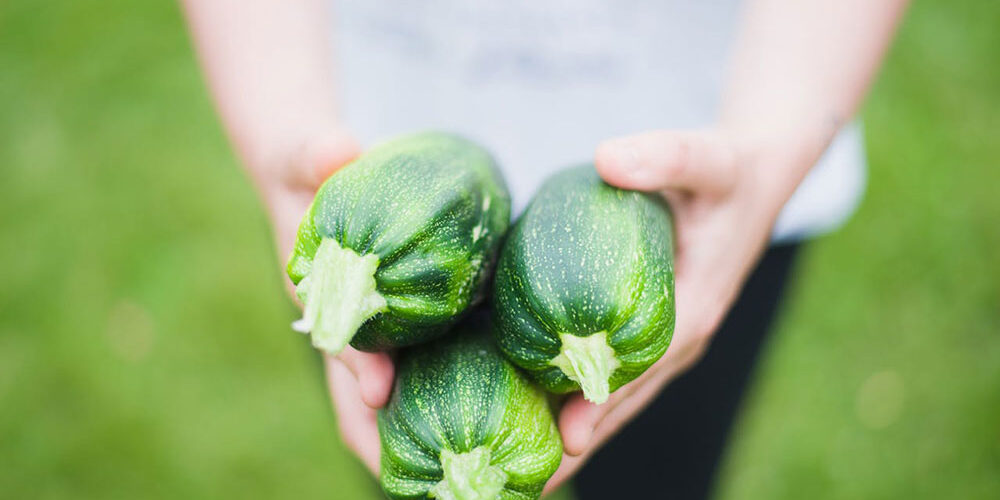 Food Choices In Your Backyard