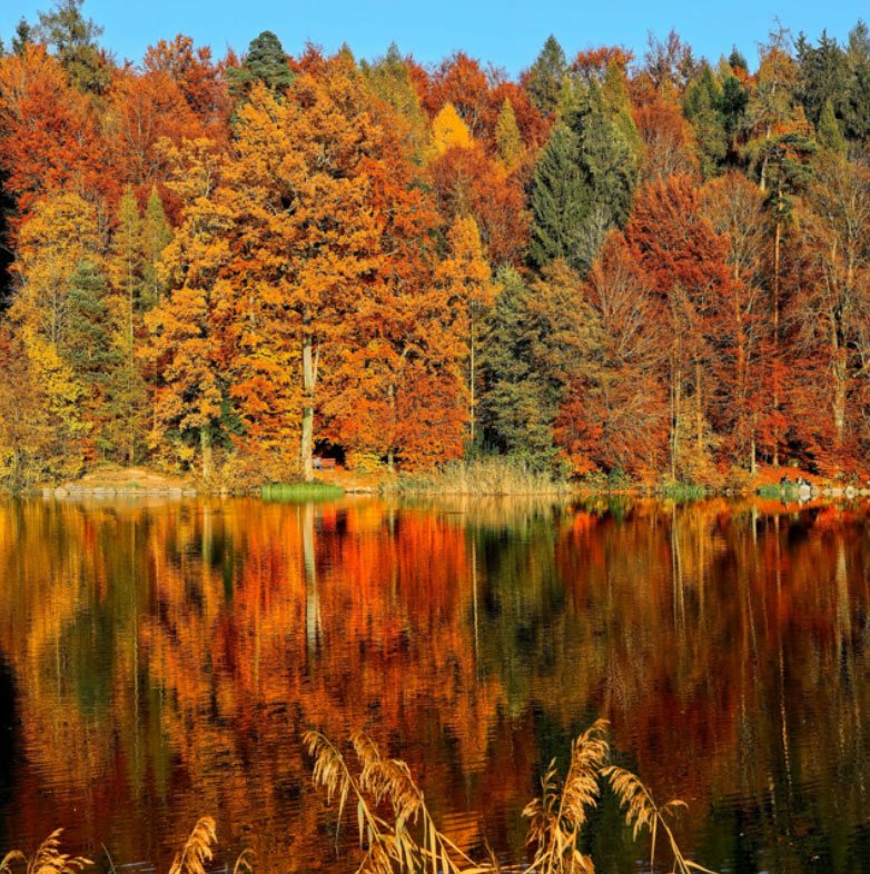 Stay active and enjoy the beauty of the season with a variety of healthy autumn activities.